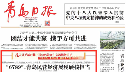 “6789”：青島民營(yíng)經(jīng)濟(jì)展現(xiàn)硬核擔(dān)當(dāng)